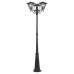 Парковый светильник Citilux Forts CLU10P3