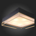 Накладная люстра ST-Luce SL1127.422.05