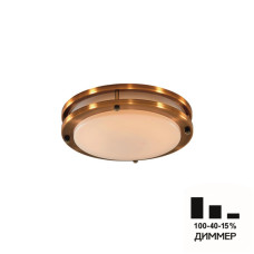 Настенно-потолочный светильник Citilux Бостон CL709203N