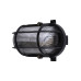 Настенно-потолочный светильник TDM Electric Евро НБП 02-60-004.03У SQ0312-0002