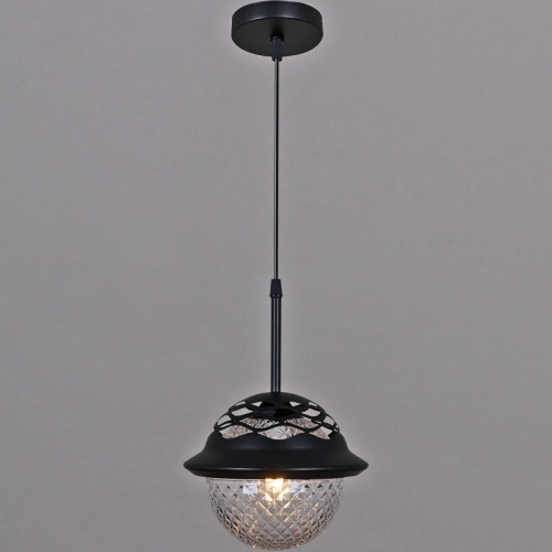 Подвесной светильник Reluce 05905-0.9-01 BK Подвесной светильник Reluce 05905-0.9-01 BK