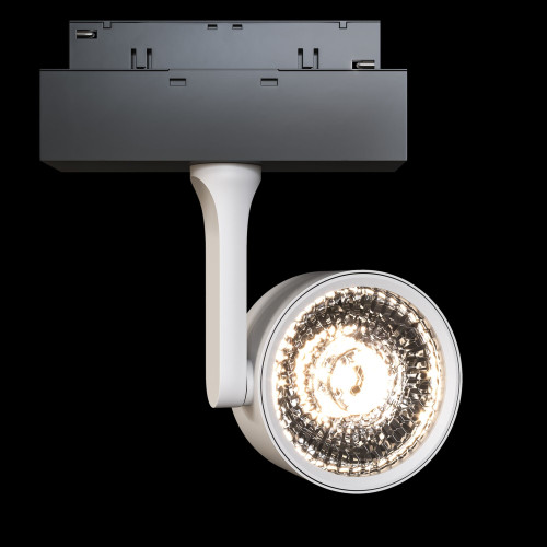 Трековый светильник Maytoni Oko TR024-2-10W4K