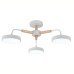 Подвесной светильник Escada Kaori 10270/3LED