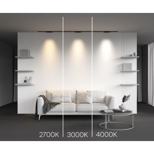 Трековый магнитный светильник Maytoni Points TR193-1-10W2.7K-M-B