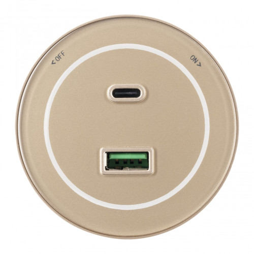 Трековая розетка Arte Milano Am-track-sockets-39 399732TS/USB-Type-C Gold