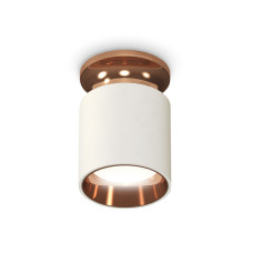 Потолочный светильник Ambrella Light Techno Spot XS6301201 (N6906, C6301, N6114)