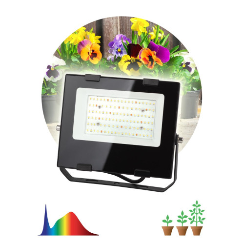Фитопрожектор для растений ЭРА FITO-50W-Ra90-LED Б0047875