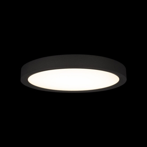 Потолочный светильник Loft IT Extraslim 10227/24 Black