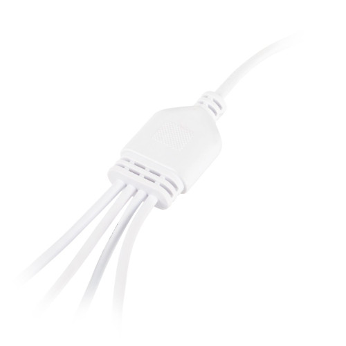 Разветвитель сетевой для линейных светильников Эра 4х IEC C7 2pin+timer (4/8/12 H) 2 м Б0066964