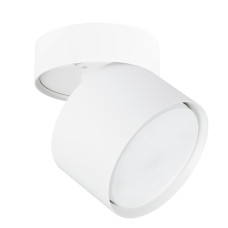Накладной спот Arte Lamp Intercrus A5549PL-1WH