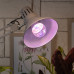 Фитолампа для растений Эра FITO-11W-Ra90-E27 Б0050603