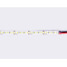 Светодиодная лента Ambrella Light Led Strip 12V Illumination 2835 14,4Вт/м 6500K 5м IP20 GS1313