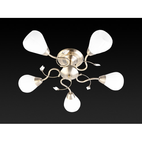 Потолочная люстра Toplight Lorin TL3570X-05AB