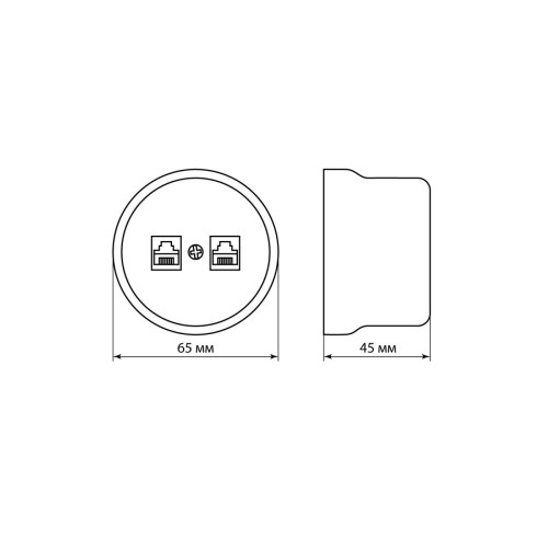 Розетка телефонная RJ11 + компьютерная RJ45 сл. кость Болонь TDM Electric SQ1820-0352