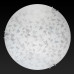 Настенно-потолочный светодиодный светильник Toplight Beatrice TL9280Y-00WH