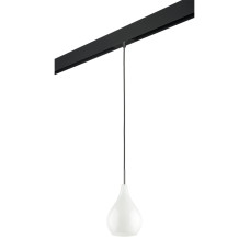 Трековый светильник Lightstar Pentola PRO803030 (803030+595007)