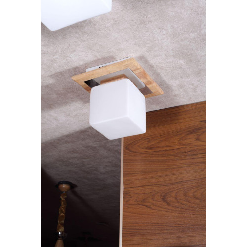 Потолочный светильник Lucia Tucci Natura 073.1 LED