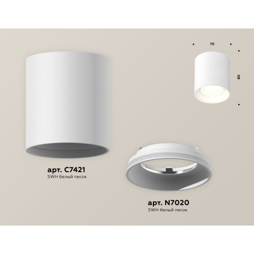 Потолочный светильник Ambrella Light Techno Spot XS7421010 (C7421, N7020)