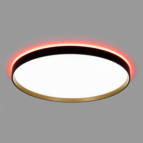 Потолочный светильник Citilux Etalon CL750501R