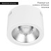 Накладной светильник Arlight SP-LEGEND-R235-35W Day4000 (WH, 50 deg, 230V) 046452 Накладной светильник Arlight SP-LEGEND-R235-35W Day4000 (WH, 50 deg, 230V) 046452