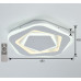 Потолочный светодиодный светильник F-Promo Ledolution 2281-5C