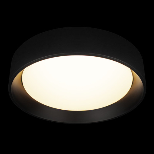 Потолочный светильник Loft IT Coin 10202 BB