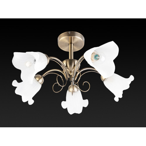Потолочная люстра Toplight Magdalene TL3490X-05AB
