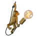 Подвесной светильник Lucide Extravaganza Chimp 10402/01/30
