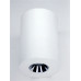 Накладной светильник Elvan NLS-210067-4.2W-WW-WhCh