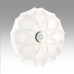 Настенно-потолочный светильник Sonex Pale Roni 7688/DL