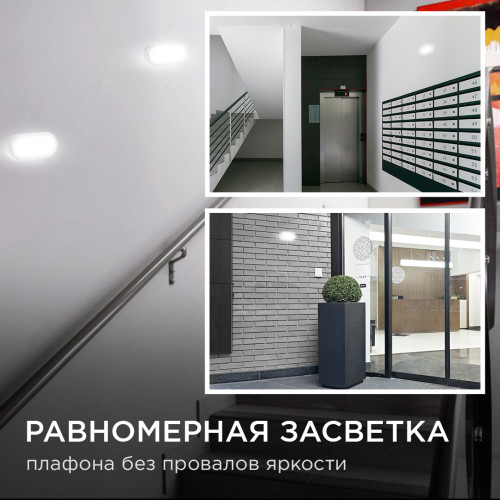 Настенно-потолочный светильник Apeyron 28-04