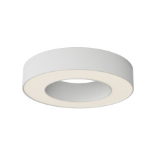 Потолочный светильник Maytoni Technical Lua C093CL-24W3K-W