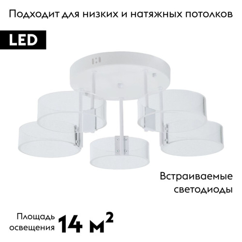 Потолочная люстра MyFar Vinsent MR1871-5CL