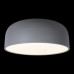 Потолочный светильник Loft IT Axel 10201/480 Grey