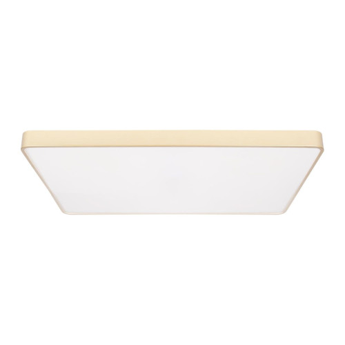 Потолочный светильник Loft IT Flims 10228/E