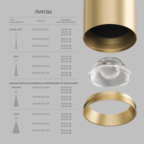Накладной светильник Denkirs Shine tube DK2610-SB