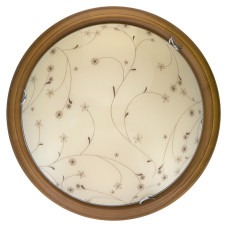 Настенно-потолочный светодиодный светильник Toplight Karissa TL9650Y-00OA