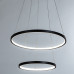 Подвесной светильник Arte Lamp Frodo A2197SP-2BK