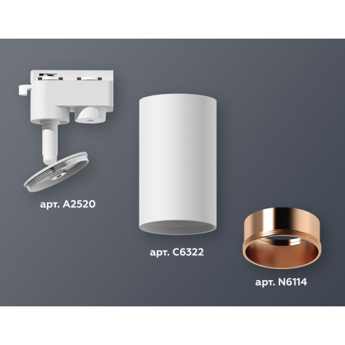 Трековый однофазный светильник Ambrella Light Track System XT6322024 (A2520, C6322, N6114)
