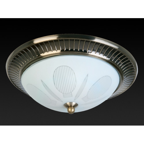 Накладной светильник Toplight Fae TL5060Y-02AB