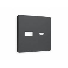 Лицевая панель для розетки 2USB тип A+C Ambrella Volt Alfa AP9110