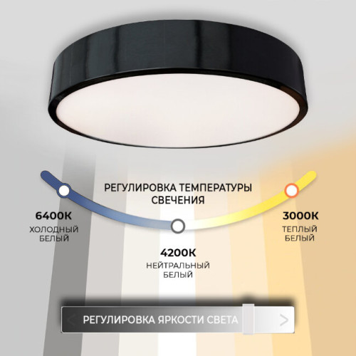 Потолочный светильник Seven Fires Эйри 48200.30.36.77BK