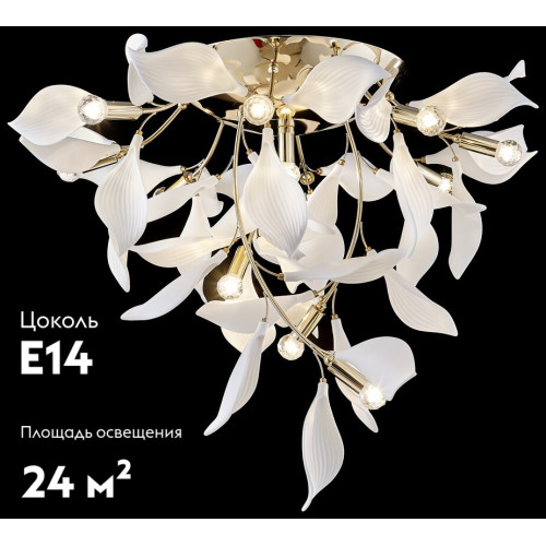 Потолочная люстра Wertmark Miranda WE123.12.307
