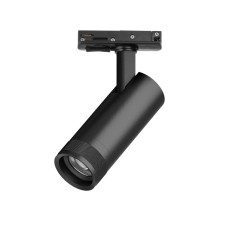 Трековый светильник для однофазного/трехфазного шинопровода Barra 20-55G с тонким адаптером Lightstar Canno Pro C4127SS