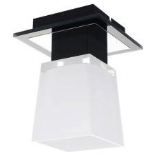 Потолочный светильник Lussole Lente LSC-2507-01