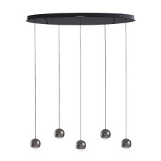 Подвесной светильник Lumien Hall Danay LH8027/5P-BK-PBK