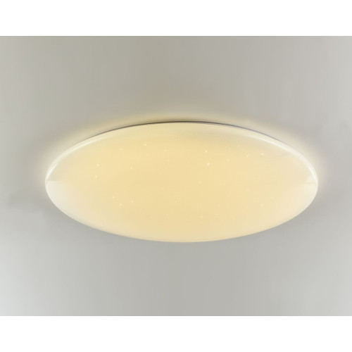 Потолочный светодиодный светильник F-Promo Luna 2319-10C