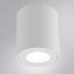 Накладной светильники Arte Lamp Tino A1469PL-1WH