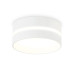 Накладной светильник Ambrella Light IP Protect TN5391