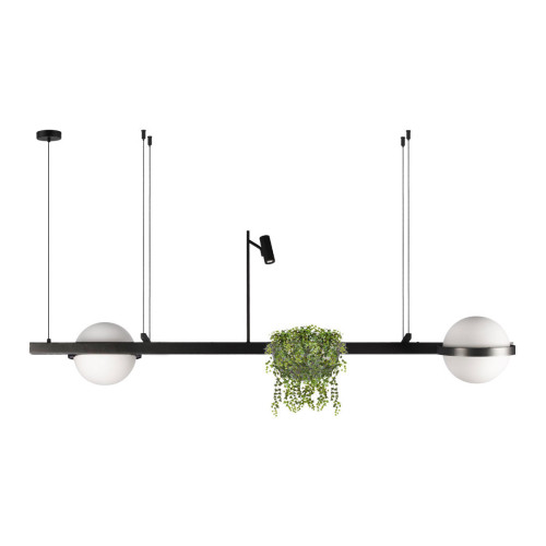 Подвесной светильник Loft IT Jardin 10121/D
